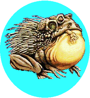 Lick the Magic Chub Toad from the game of Magic: The Gathering, which can be found in 5th Edition and also Ice Age, Chub Toad Land is based in East Grand Forks